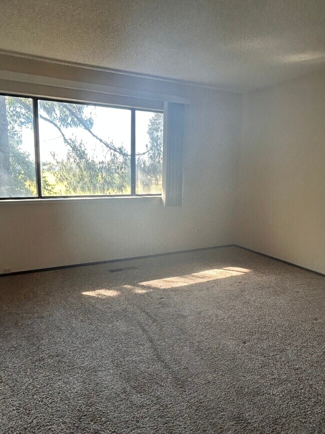 Large En-suite Master bedroom - 6341 Joaquin Murieta Ave