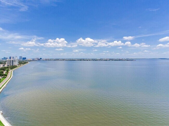 Building Photo - 3101 Bayshore Blvd