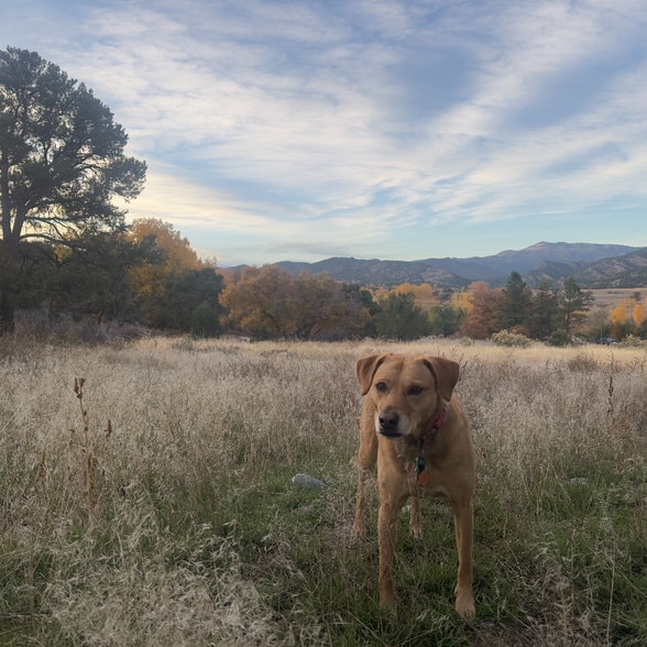 Building Photo - 115 Loop Dr