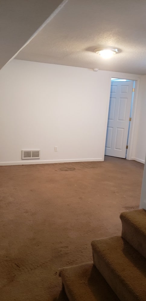basement den - 4242 S 15th Ave