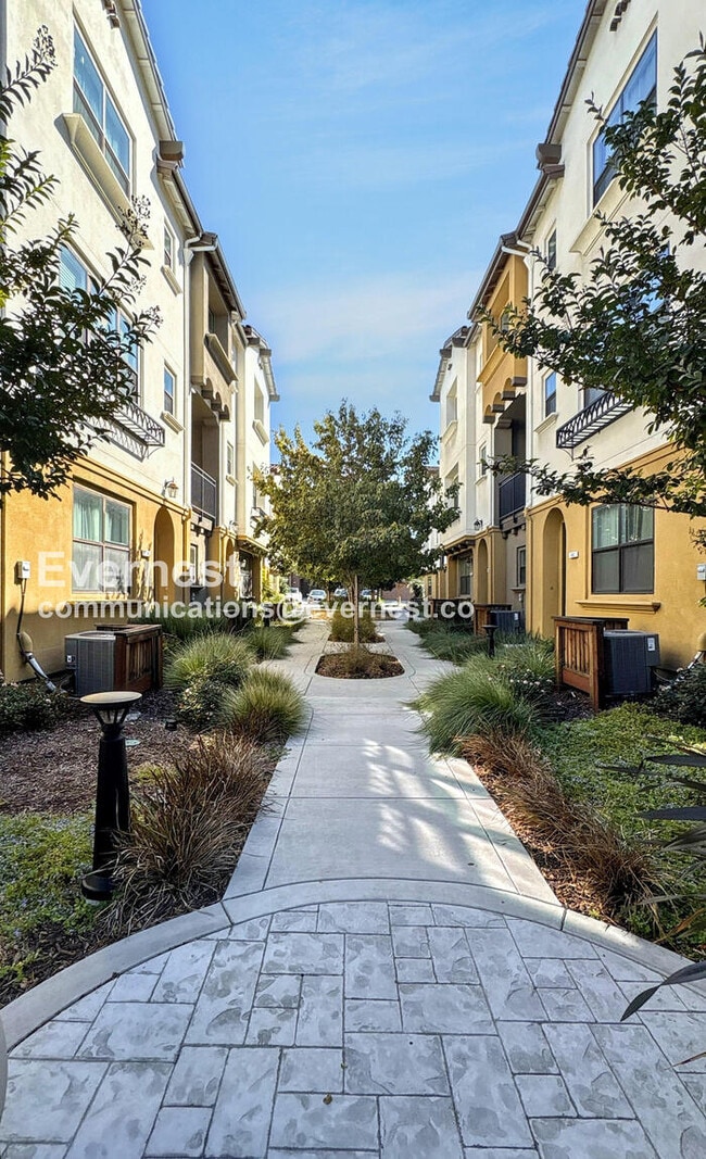 Building Photo - 785 Santa Cecilia Terrace