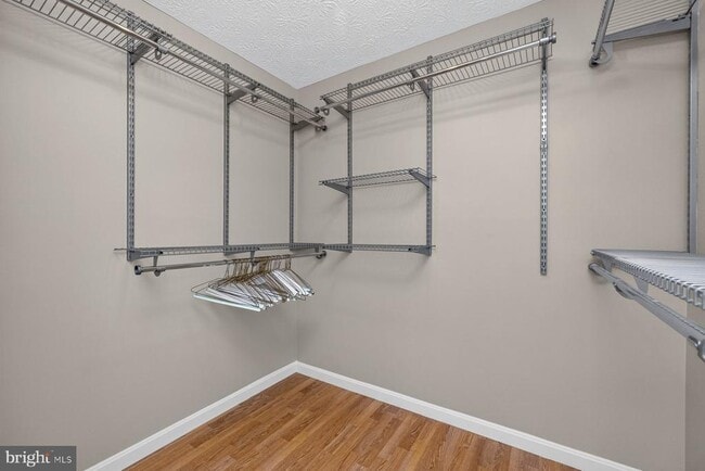 Building Photo - 4009 Shallow Brook Ln