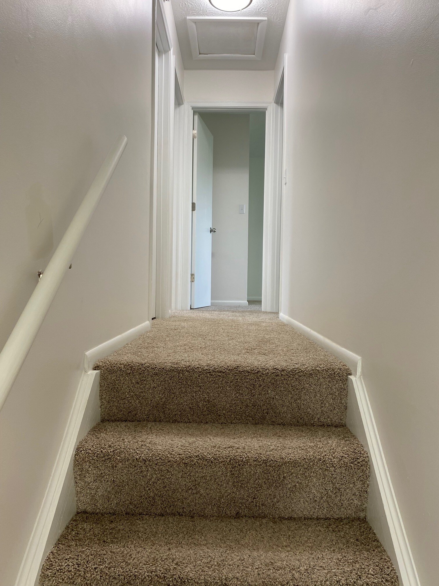 Building Photo - 3213 Trailwood Ct