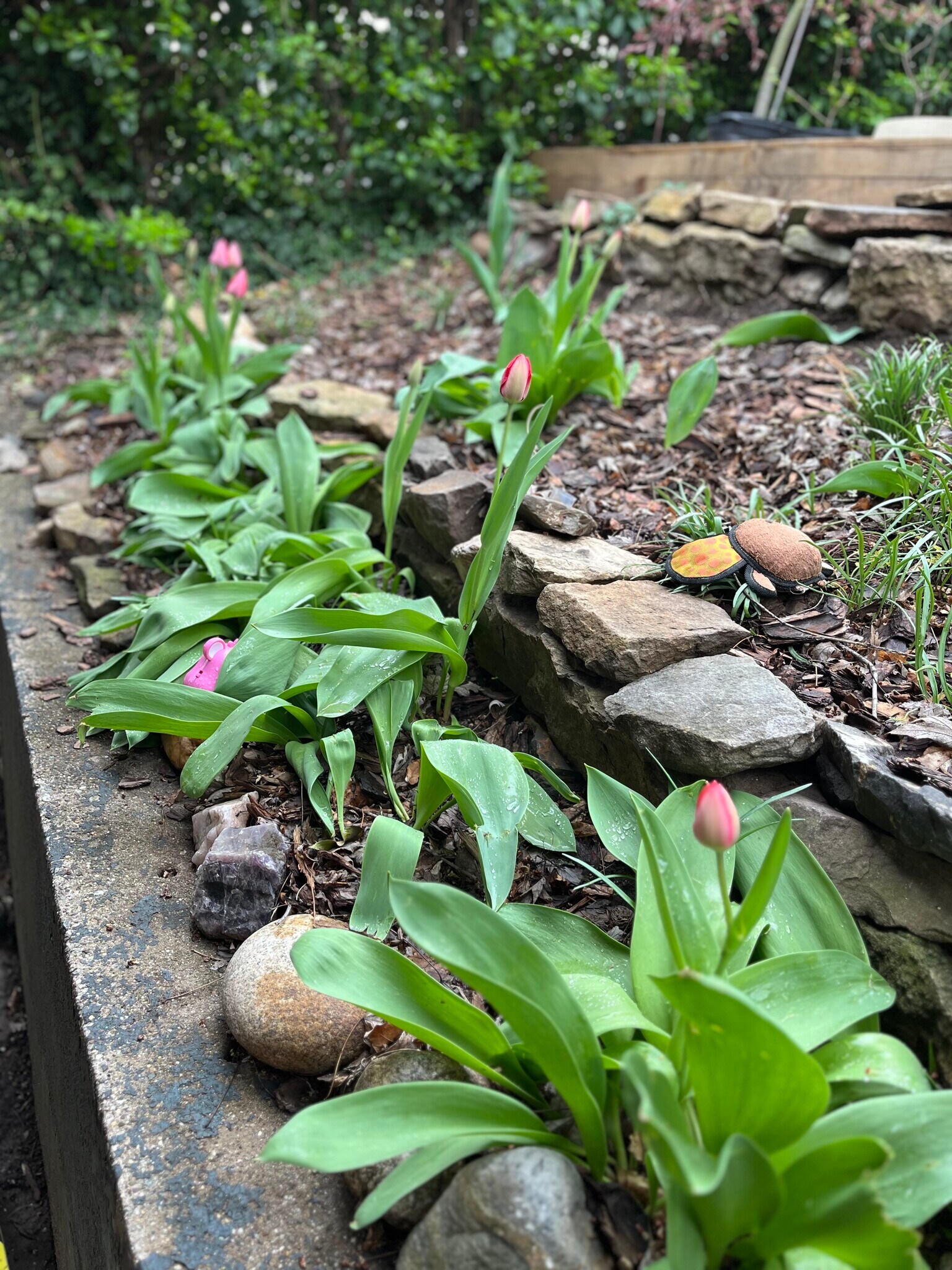 Building Photo - 350 Washington Ave