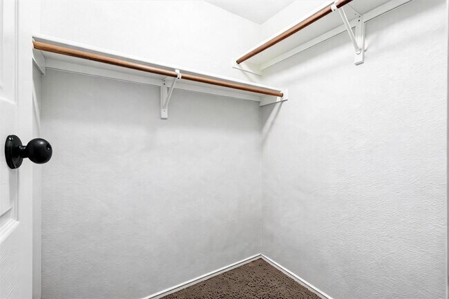 Building Photo - 1806 Carriage Hills Trail