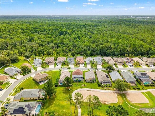 Building Photo - 3633 Morgan's Bluff Ct