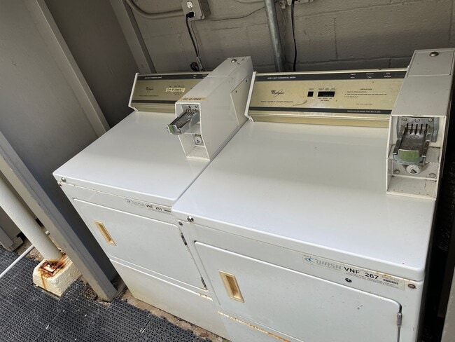 Building Photo - Ohana Kewalo Basement Studio For Rent $1350