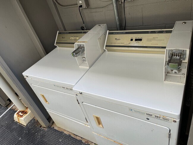 Building Photo - Ohana Kewalo basement Studio for rent