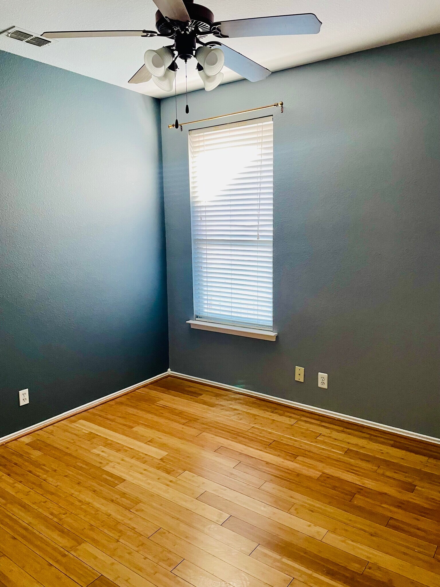 Room - 2809 Anejo Dr
