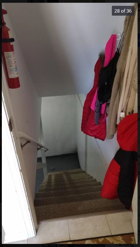 Steps to basement - 111 41st St