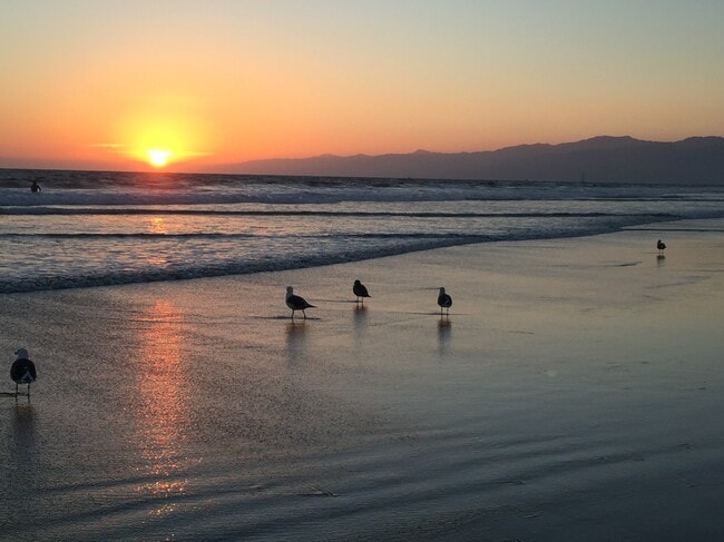 Building Photo - 33 Paloma Ave