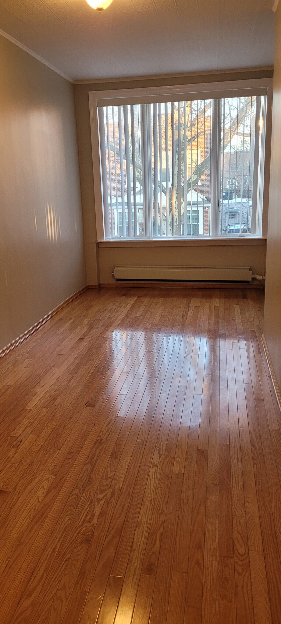 Building Photo - 53 Clara St