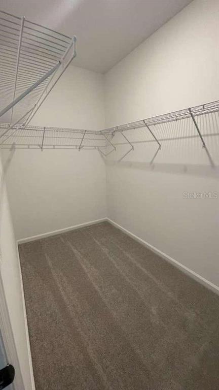 Building Photo - 2485 Rider Rain Ln