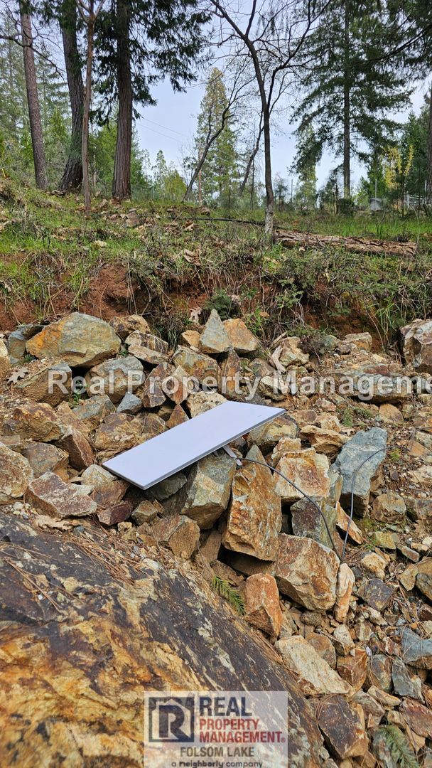 Building Photo - Private Wooded Retreat on 2 Acres – 4BR 2Bath Home with Space for Animals, Fruit Trees & Seasonal...