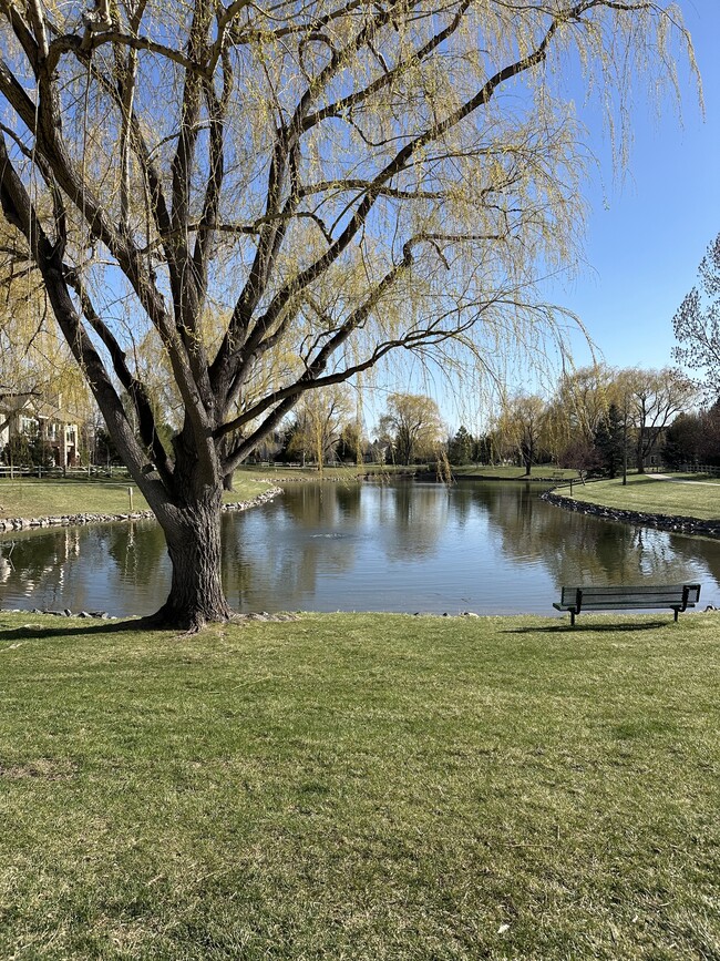 Neighborhood pond and green space - 5225 White Willow Dr