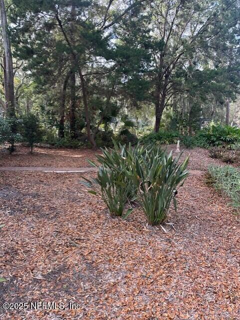 Building Photo - 12238 Spiney Ridge Dr S