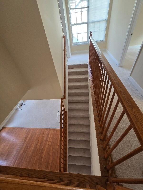 Building Photo - 5653 Cabinwood Ct