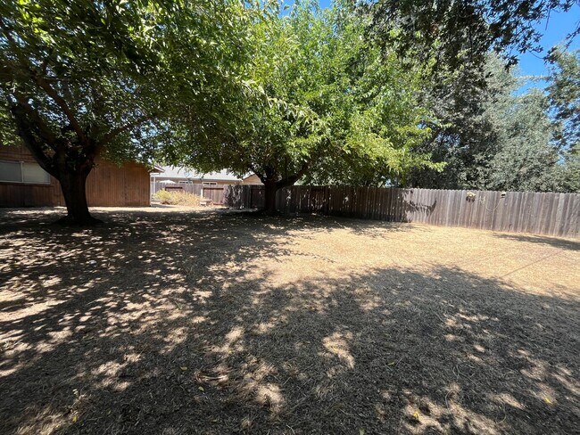 Building Photo - 2358004/85