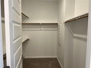 Building Photo - 1617 Coral Sunrise Trl