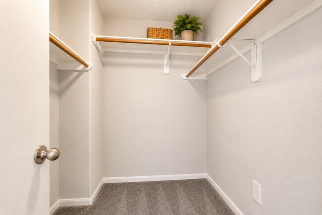 Building Photo - 13327 Belvedere Park Ct