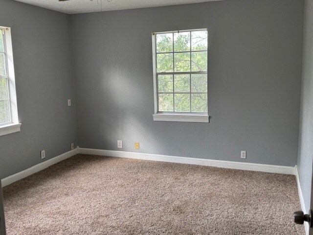 Building Photo - 31230 Wildcat Dr