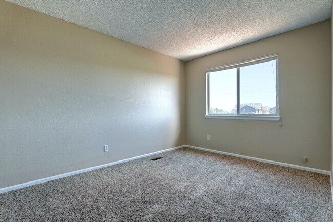 Building Photo - Castle Rock Founders Village Single Family 4BD/3BTH/3-Car (~2100 FSF)