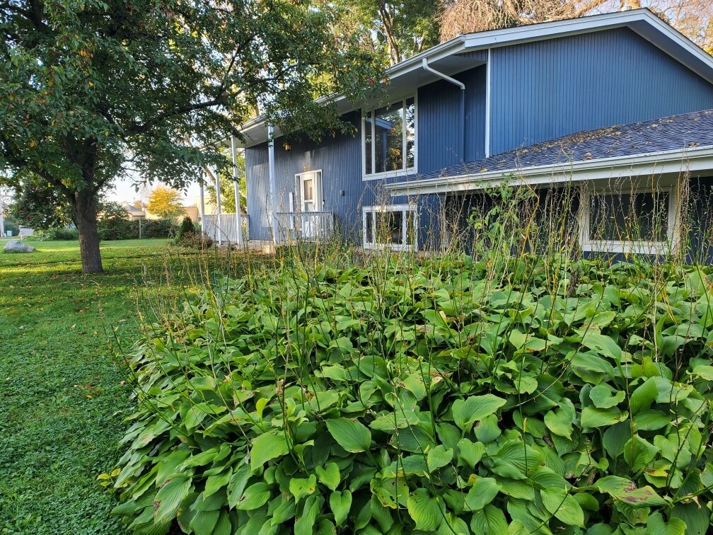 Building Photo - 2117 Fern Ln