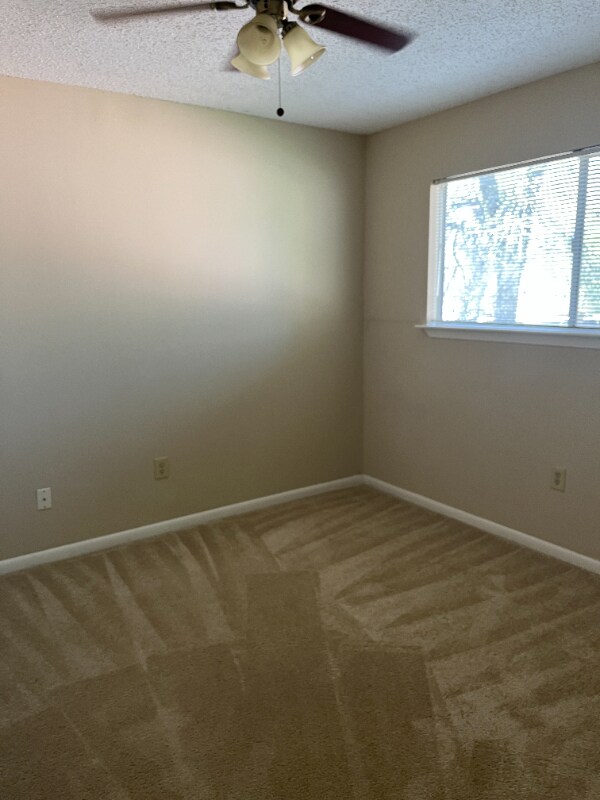 Building Photo - 3 Blue Fox Ct