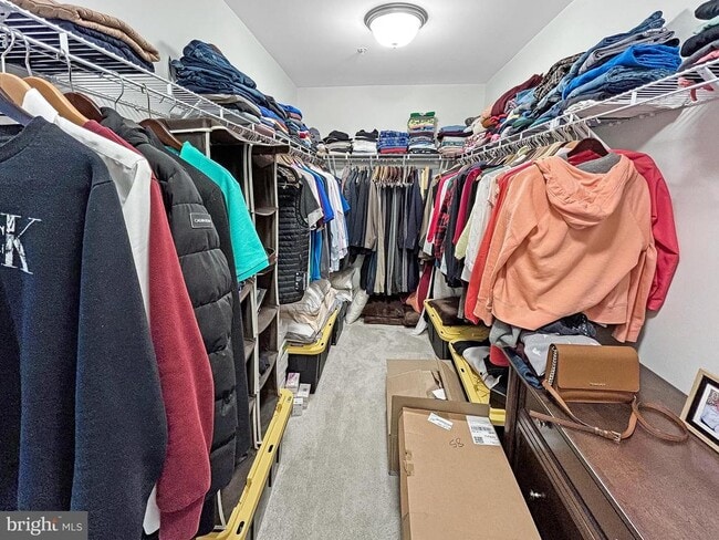 Building Photo - 221 Red Oak Ridge Pl