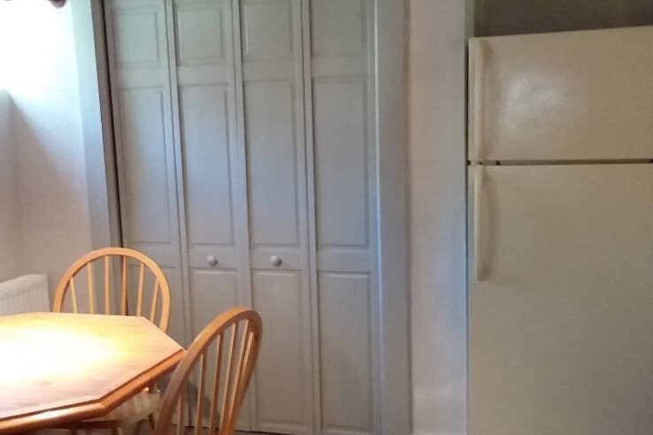 large pantry with shelves - 509 E Myrtle St
