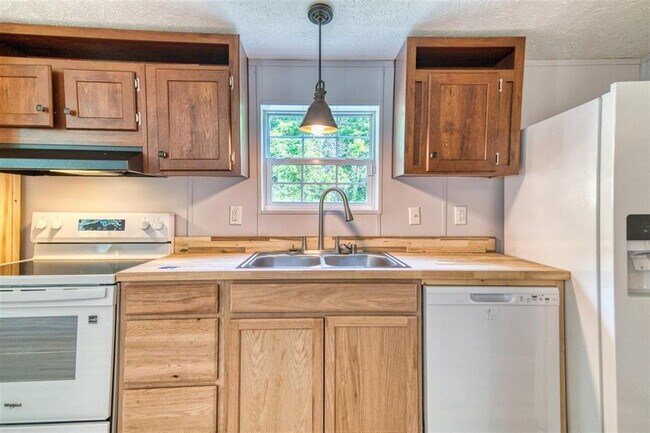 Building Photo - 3 Bedroom / 2 Bathroom Home in Russellville