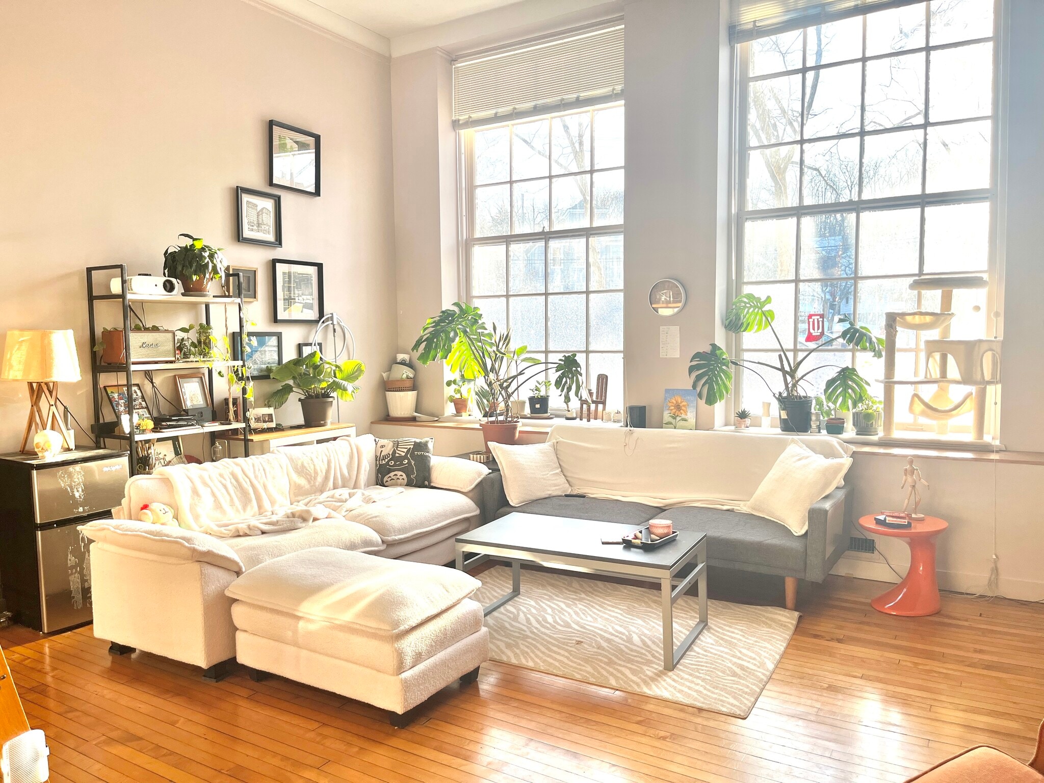 Living room - 2043 Random Rd