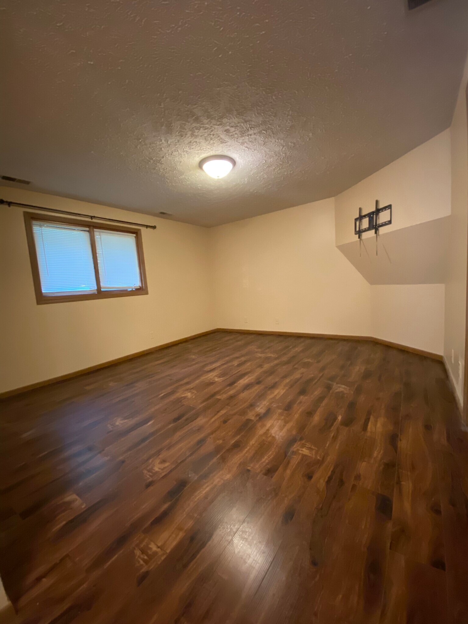 Downstairs Family Room - 3133 Wildbriar Ln