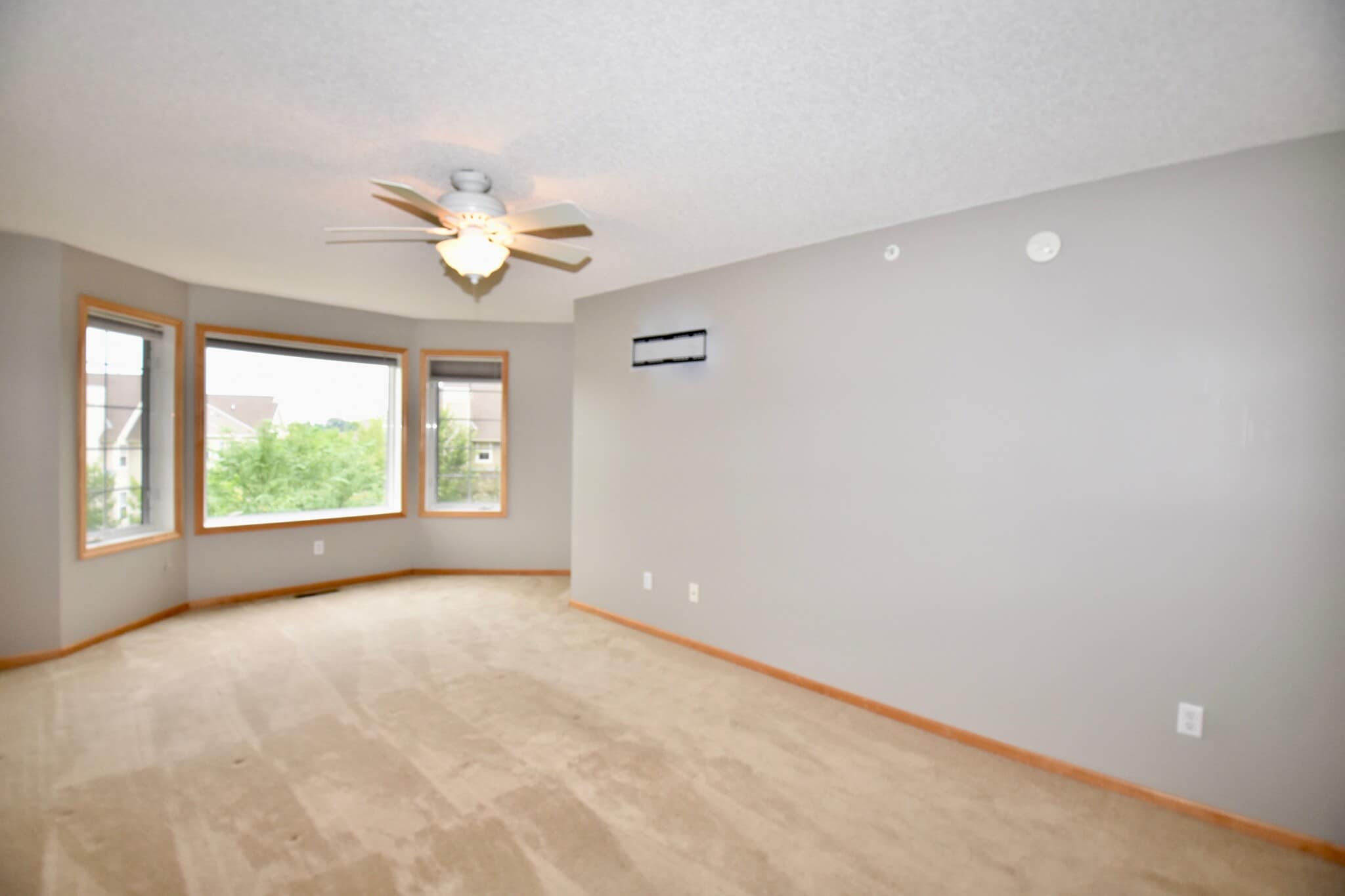 Building Photo - 8395 Townsend Dr