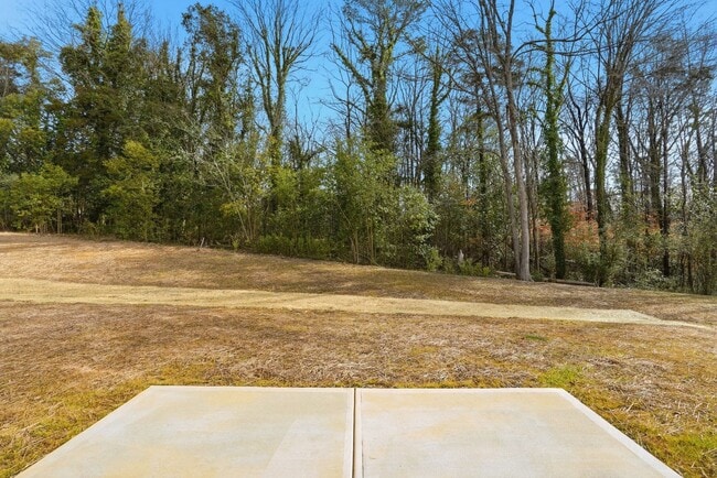 Building Photo - Brand New 4BR Home in The Pines at Paw Creek – Modern Design