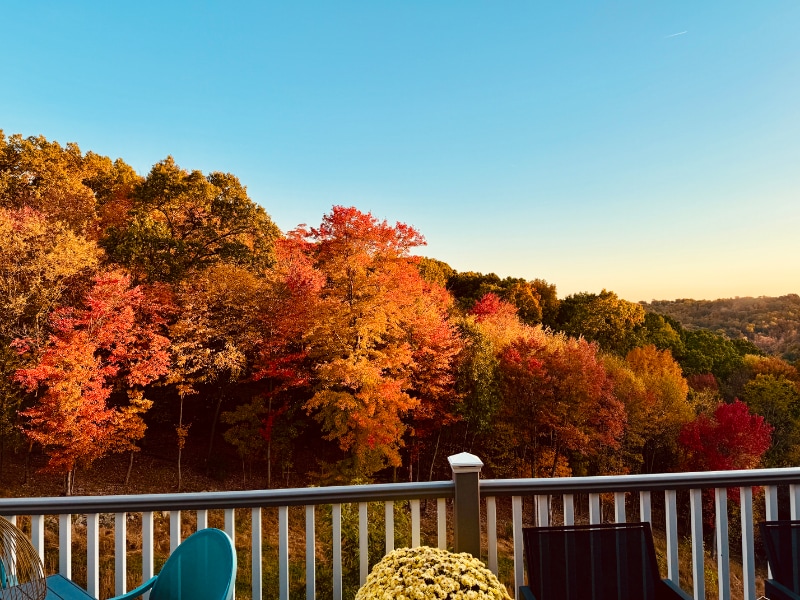 Building Photo - 110 Curtis Ct