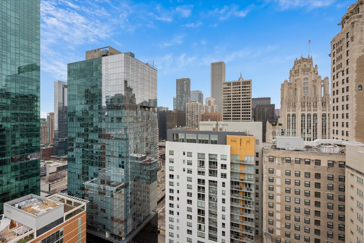 Building Photo - 535 N Michigan Ave