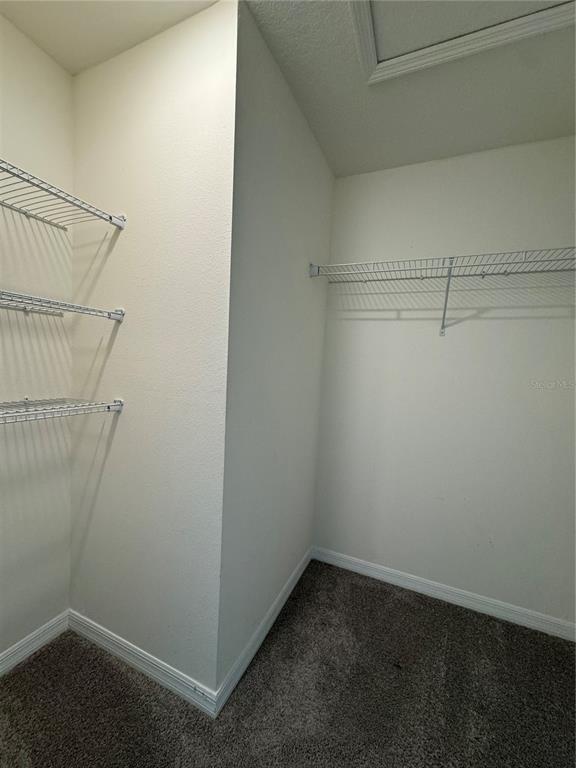 Building Photo - 1659 Bitterroot St