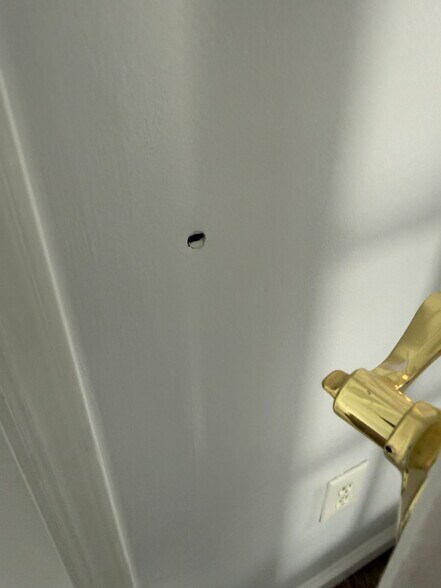 Building Photo - 713 Pinehurst Ct