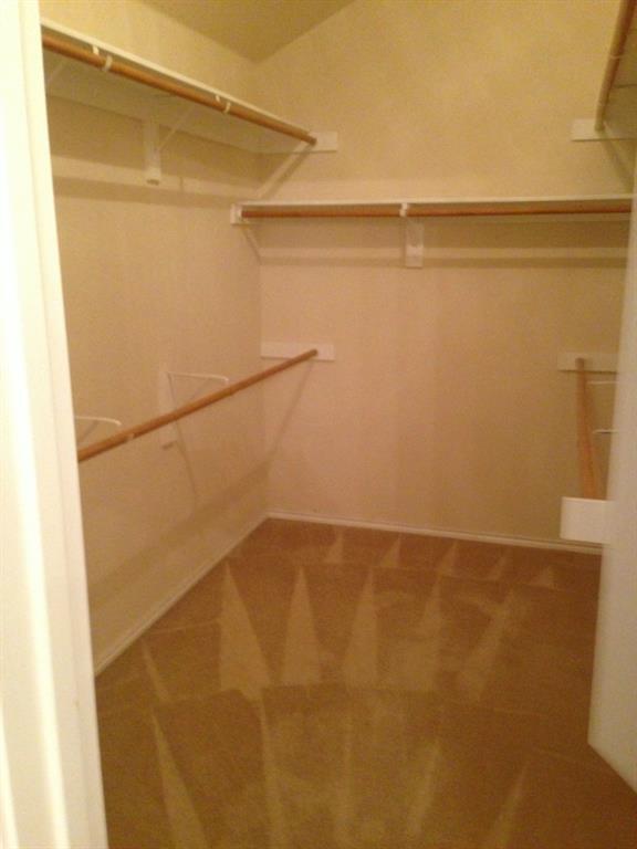 Building Photo - 1200 Rainbow Cove