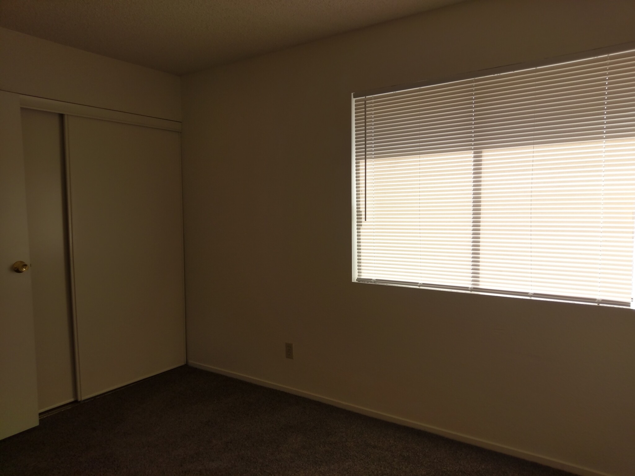 Building Photo - 2743 Clove Bud Dr