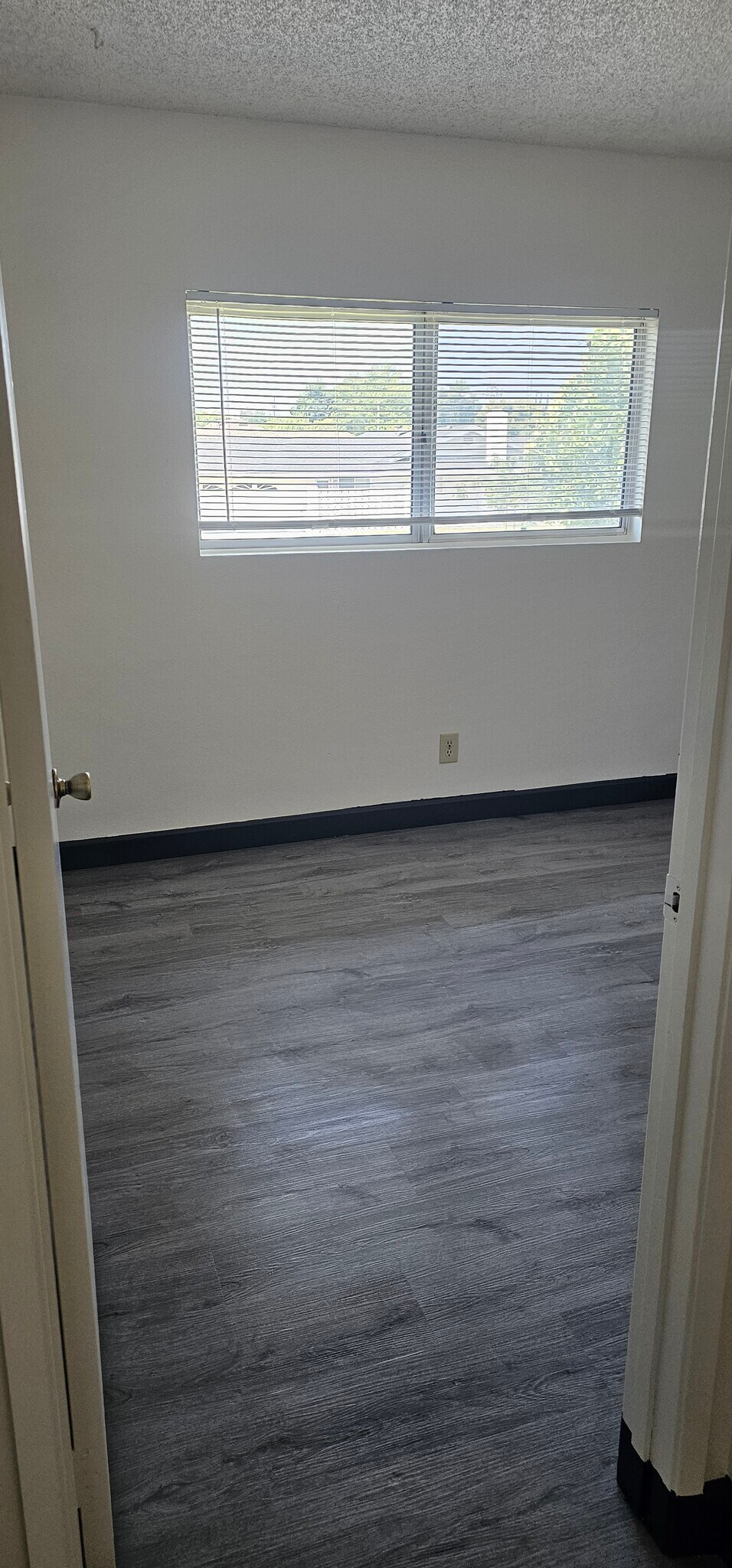 Building Photo - 204 Grayson Way