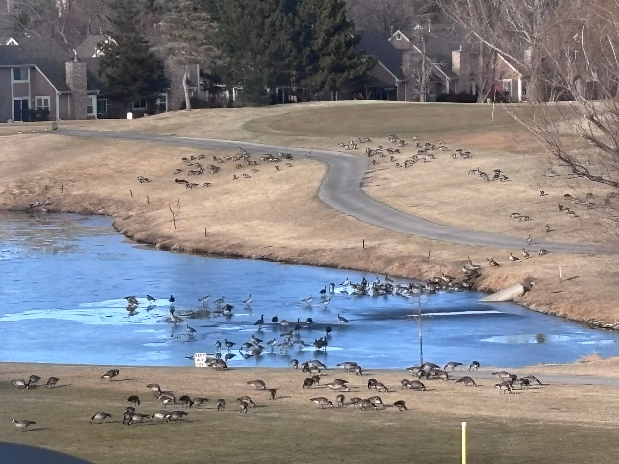 Golf course habitat! - 2172 S. Victor St.
