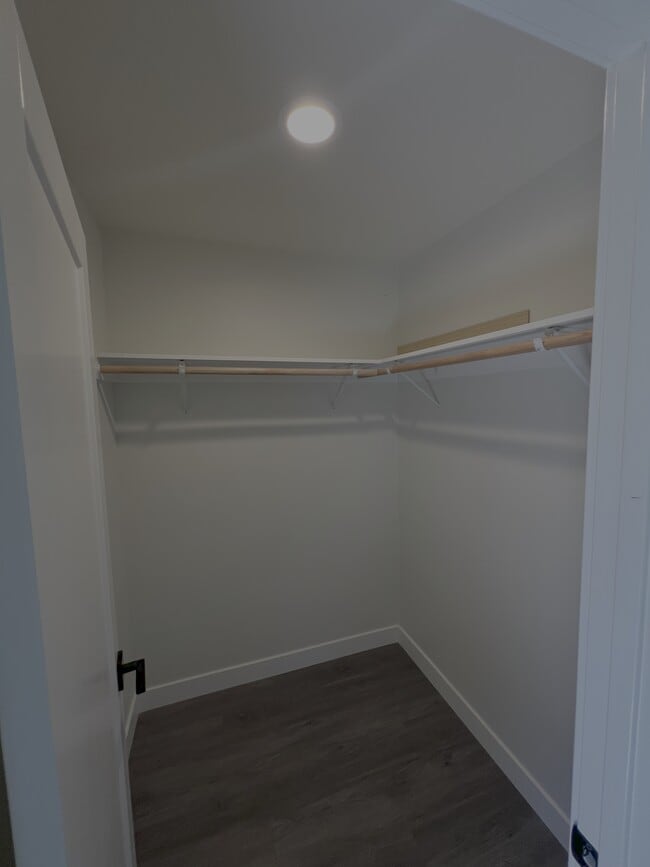 Building Photo - 1572 Rhinestone Ct