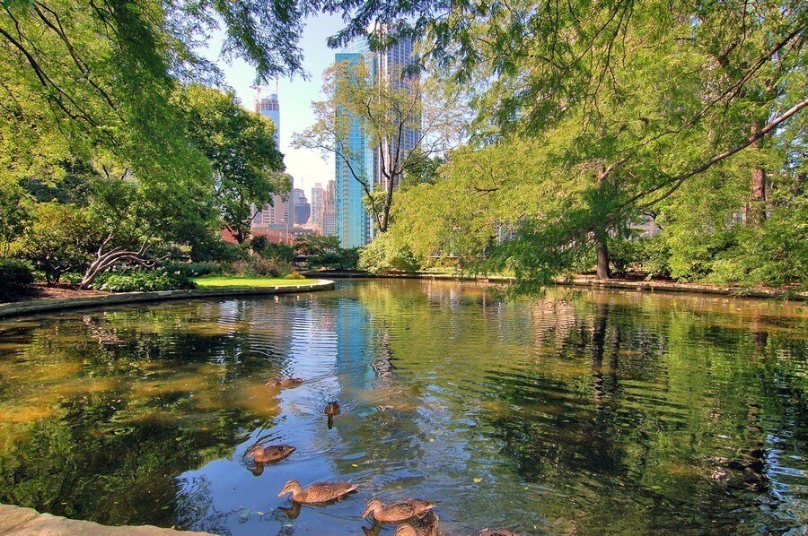 Pond on 3rd floor 2.5 acre grounds - 505 N Lake Shore Dr