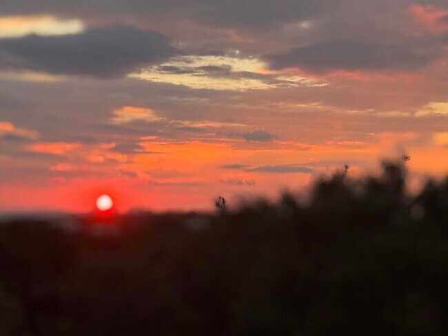 Building Photo - 6296 W County Hwy 30A