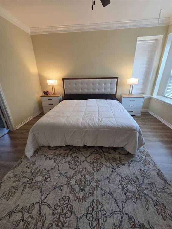 Building Photo - 1203 Cardinal Ln