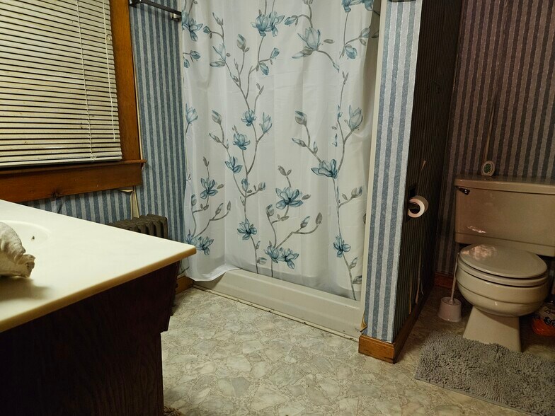 Downstairs bath - 66 Long Pond Rd S