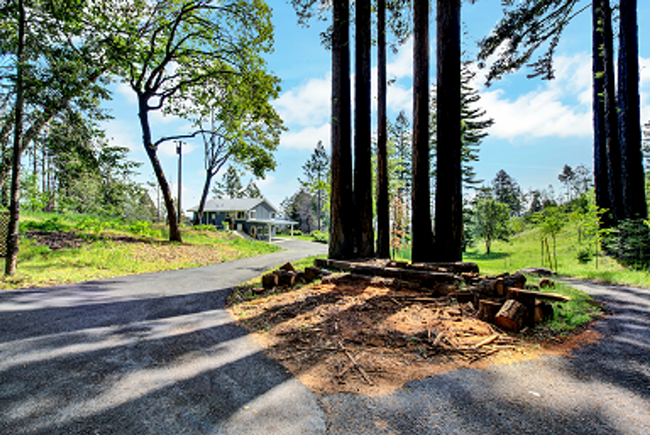 Building Photo - Mount Veeder Sanctuary Home