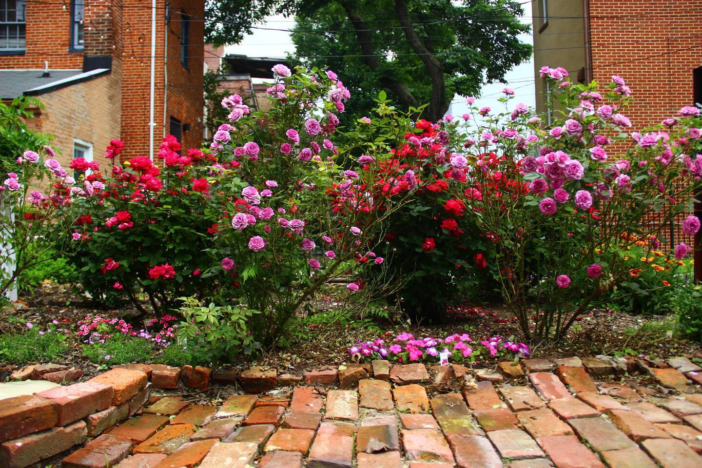 Building Photo - 613 S Paca St